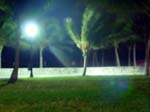 DSC00288
