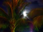 DSC00302