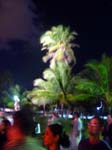 DSC00346