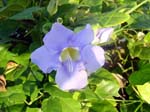 DSC00364