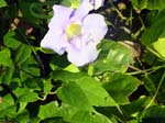 DSC00365