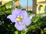DSC00366